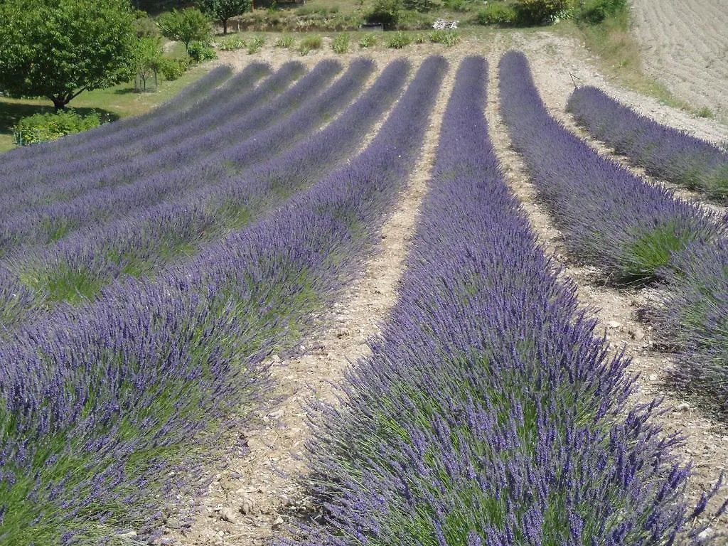 Gite Le Bouquet Villa Chatillon-en-Diois France